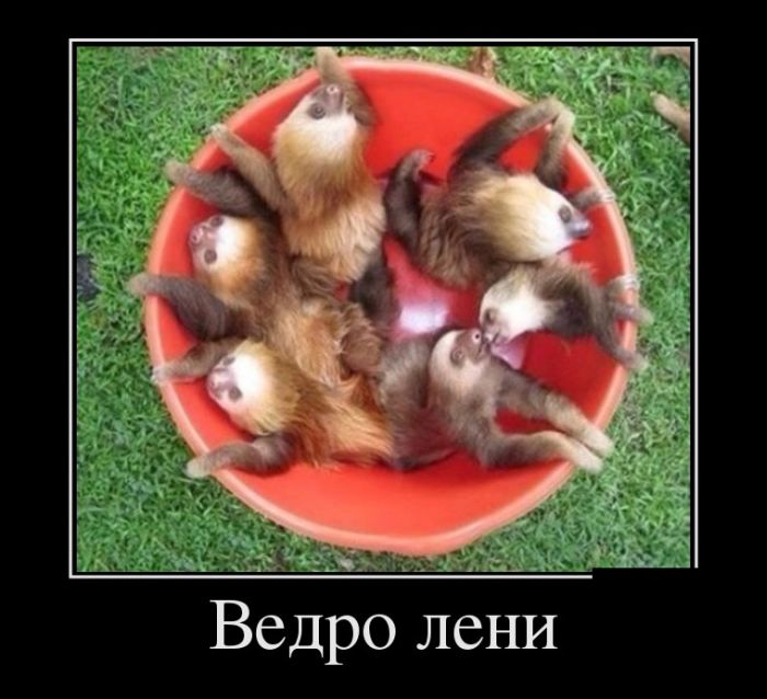 ПОДБОРКА ПРИКОЛЬНЫХ ДЕМОТИВАТОРОВ