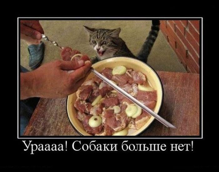 ПОДБОРКА ПРИКОЛЬНЫХ ДЕМОТИВАТОРОВ