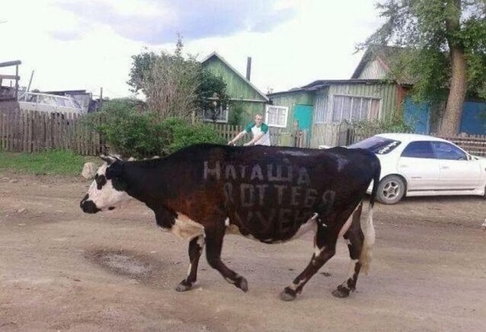 Позитивная фотоподборка