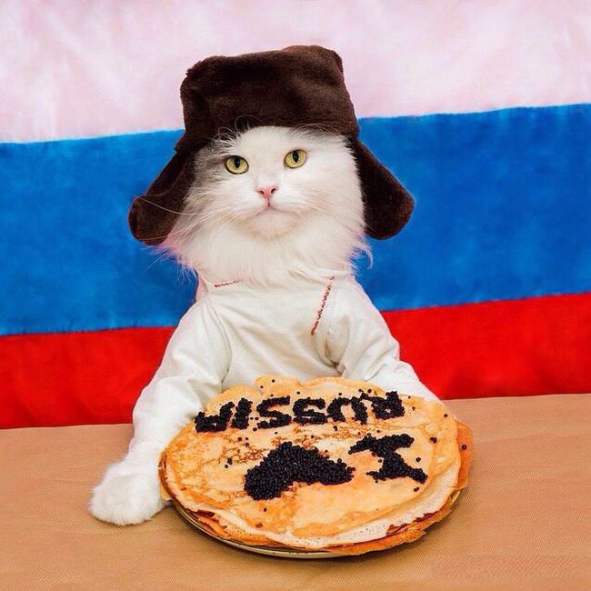 ПОДБОРКА ФОТОПРИКОЛОВ