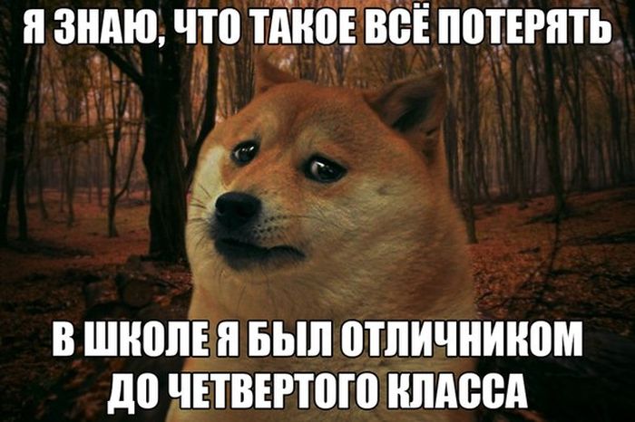 ПОДБОРКА ФОТОПРИКОЛОВ