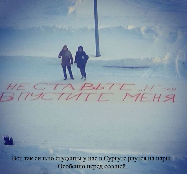 ПОДБОРКА ФОТОПРИКОЛОВ № 350