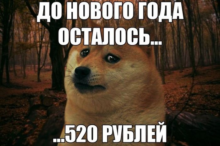 ПОДБОРКА ФОТОПРИКОЛОВ № 357