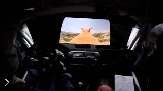Walter the dog rally crash