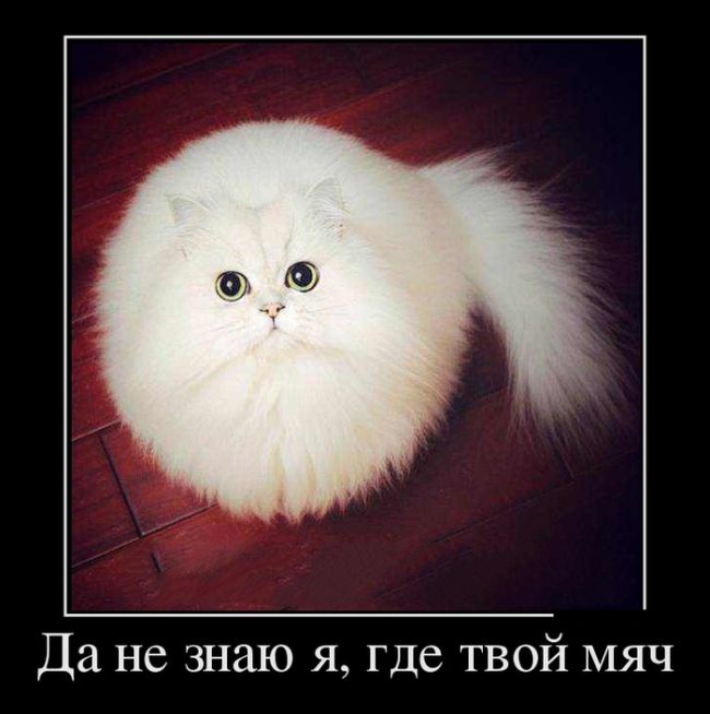 ПОДБОРКА ПРИКОЛЬНЫХ ДЕМОТИВАТОРОВ