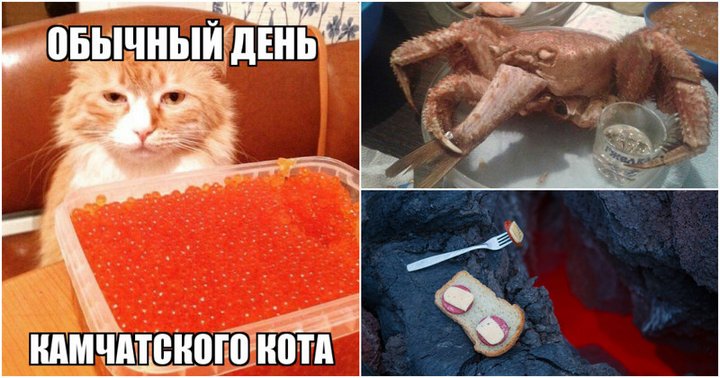 Утомлённые красной икрой