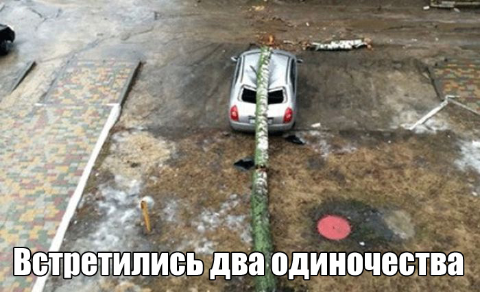 ПОДБОРКА ФОТОПРИКОЛОВ № 401
