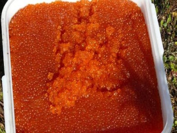 Уничтожение четырех тонн красной икры на Камчатке
