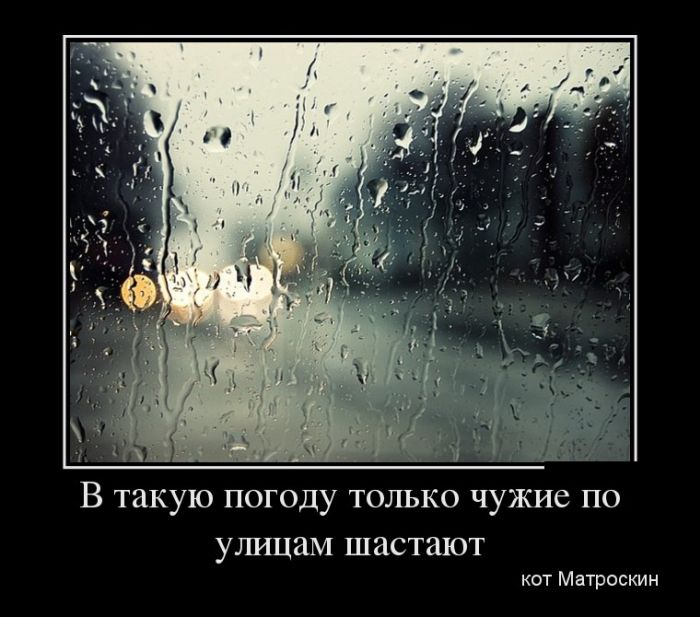 Демотиваторы