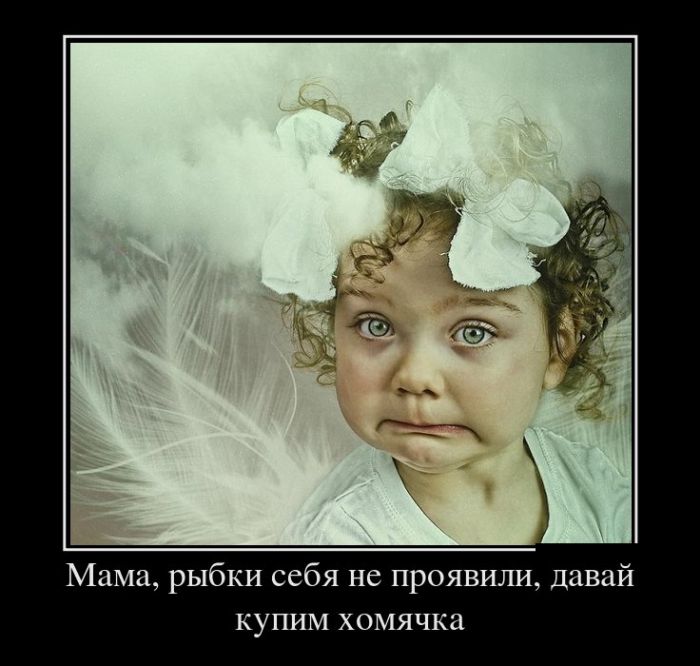Демотиваторы