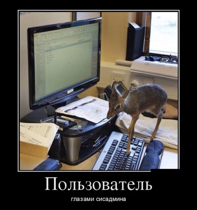 Демотиваторы