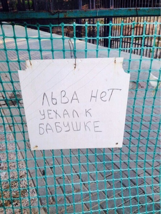 Прикольные картинки