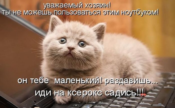Забавные котоматрицы