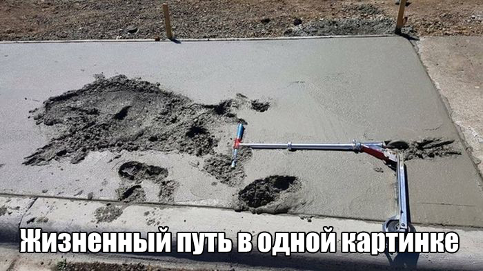 Подборка прикольных фото №1407 (103 фото)