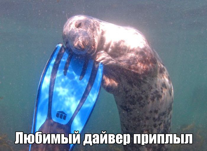 Подборка прикольных фото №1409 (118 фото)
