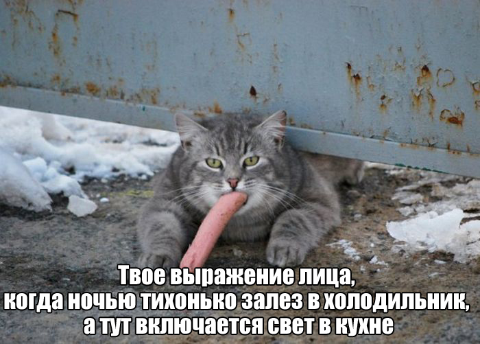 Подборка прикольных фото №1410 (110 фото)