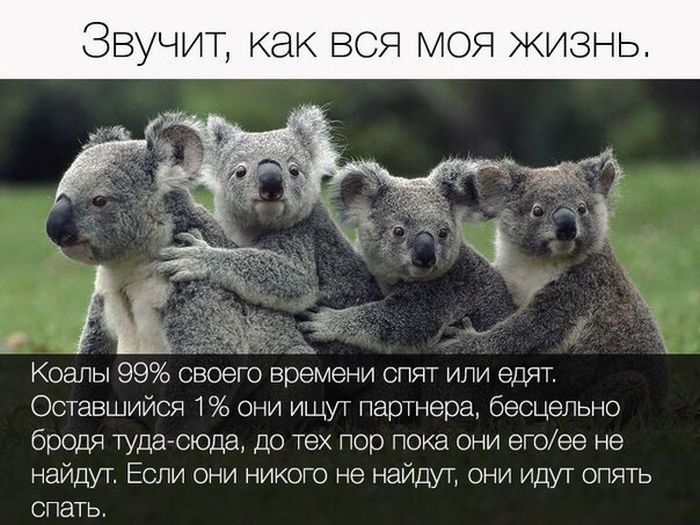 Подборка прикольных фото №1412 (119 фото)