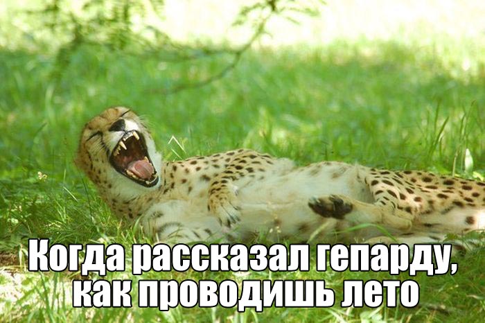 Подборка прикольных фото №1420 (107 фото)