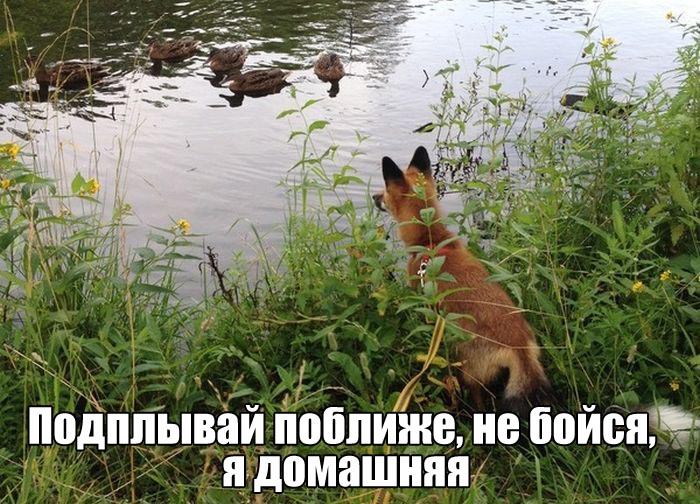 Подборка прикольных фото №1419 (108 фото)