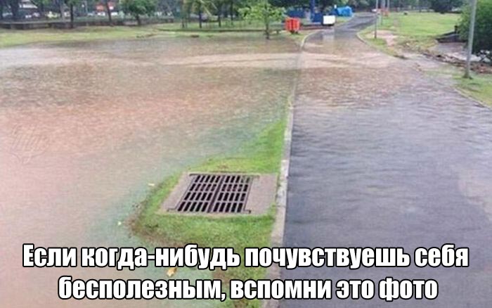 Подборка прикольных фото №1438 (115 фото)