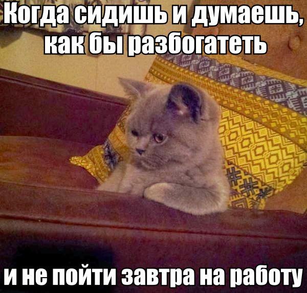 Подборка прикольных фото №1423 (102 фото)