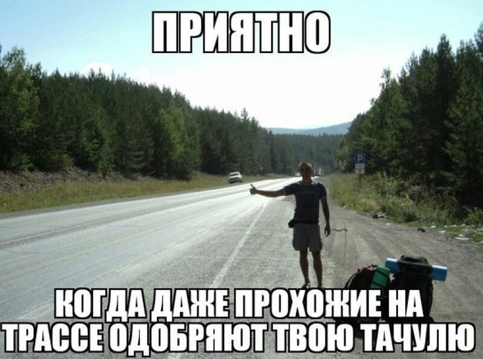 Прикольные картинки