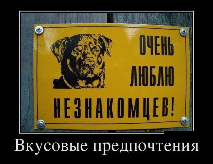 Демотиваторы