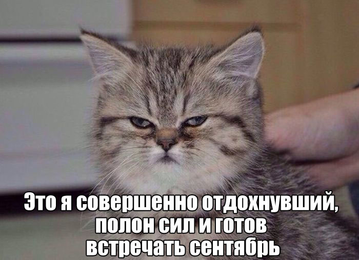 Подборка прикольных фото №1449 (115 фото)