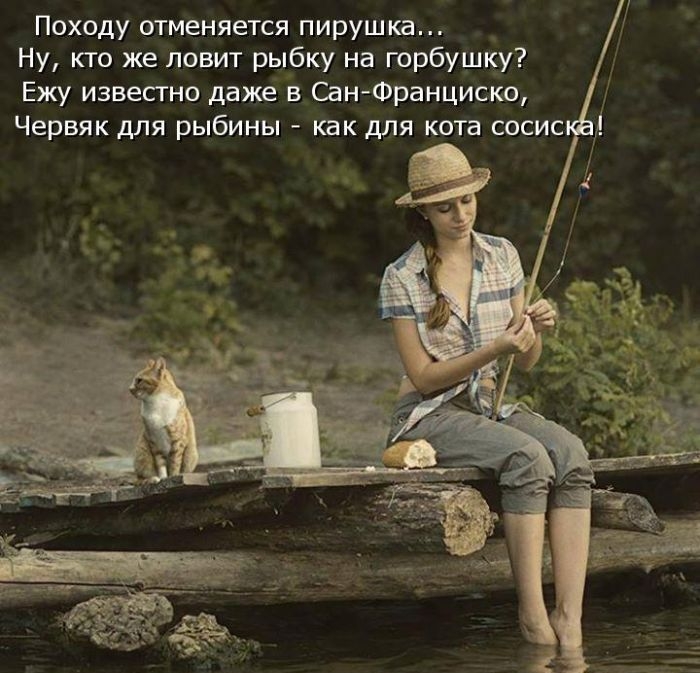Забавные котоматрицы