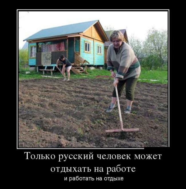 Демотиваторы