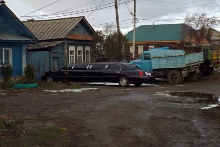 Прикольные картинки