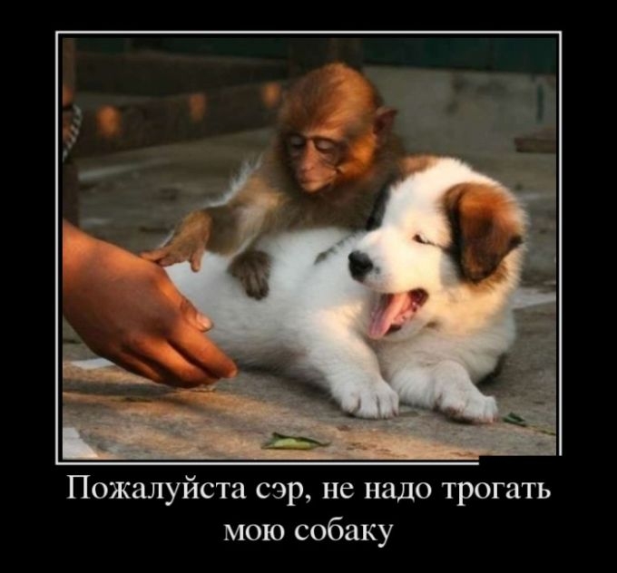 Демотиваторы