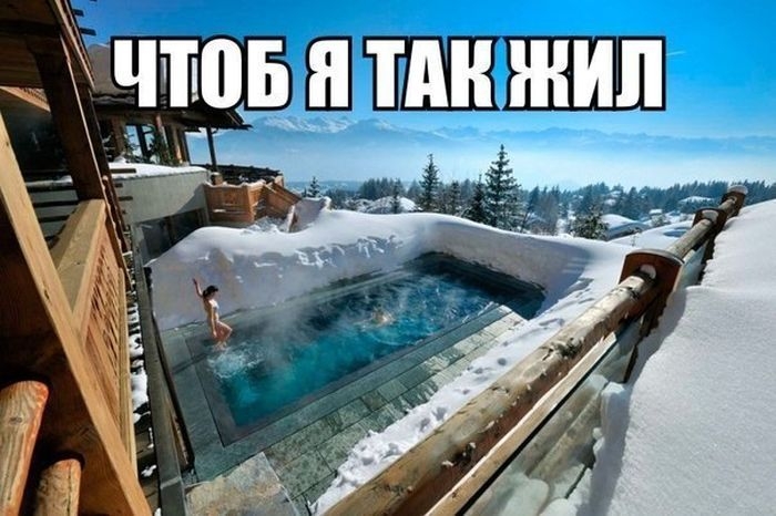 Прикольные картинки