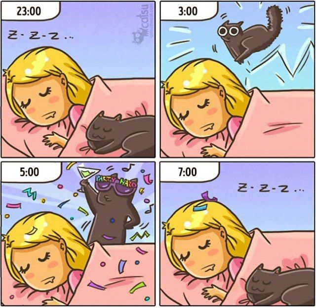 Забавные комиксы