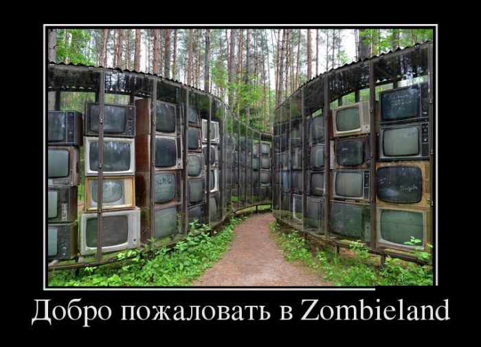 Демотиваторы