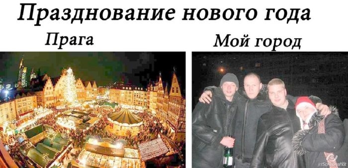 Прикольные картинки