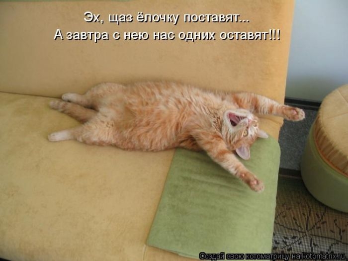 Забавные котоматрицы