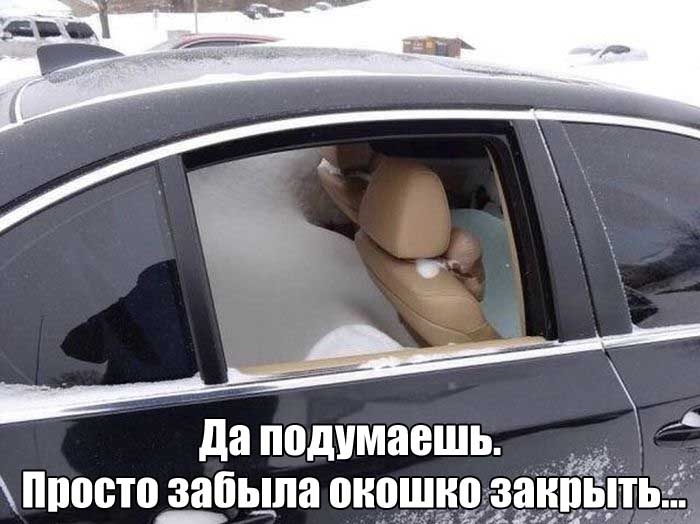 Прикольные картинки