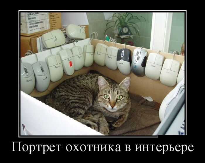 Демотиваторы