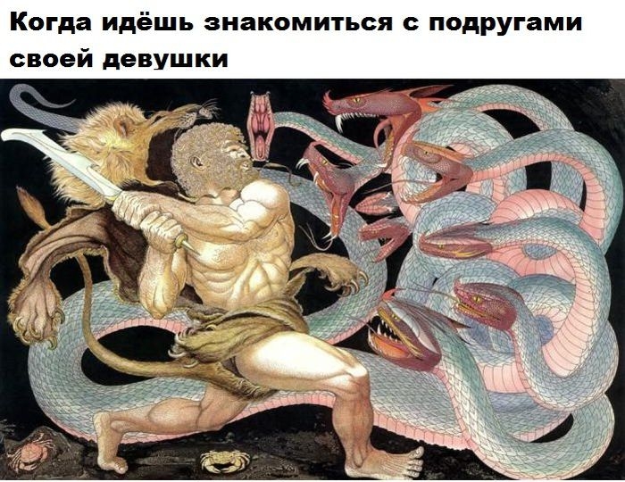 Прикольные картинки