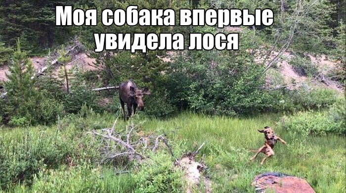 Подборка прикольных фото №1661 (113 фото)