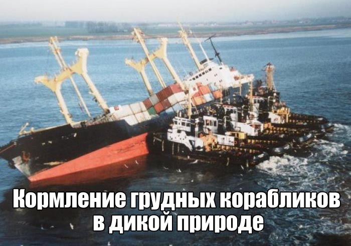 Подборка прикольных фото №1660 (103 фото)