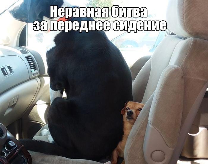 Подборка прикольных фото №1659 (103 фото)