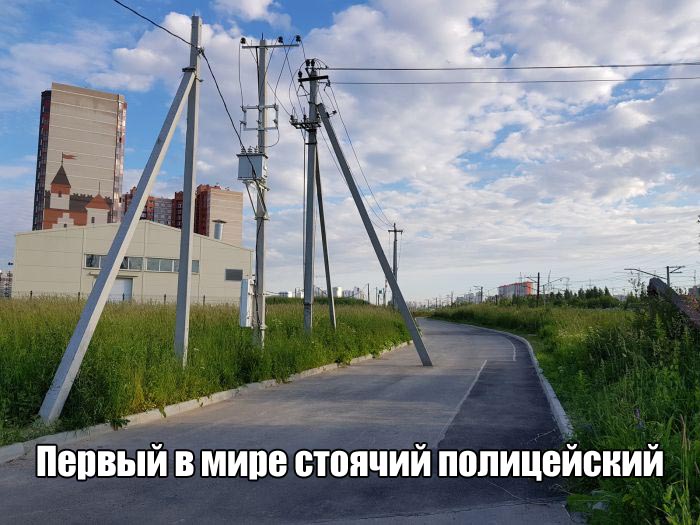 Подборка прикольных фото №1656 (103 фото)