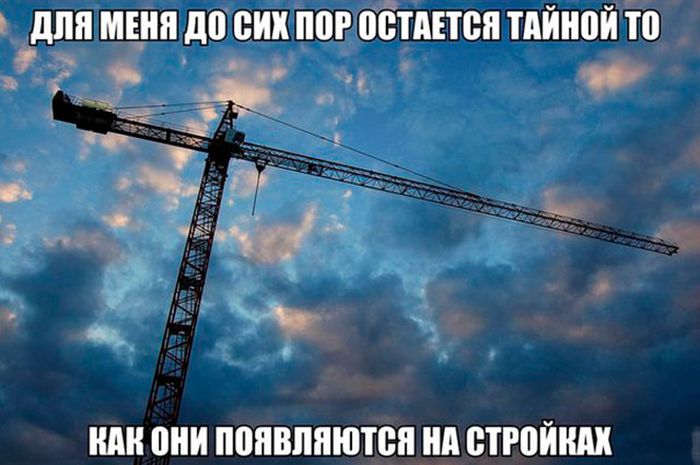 Подборка прикольных фото №1641 (119 фото)