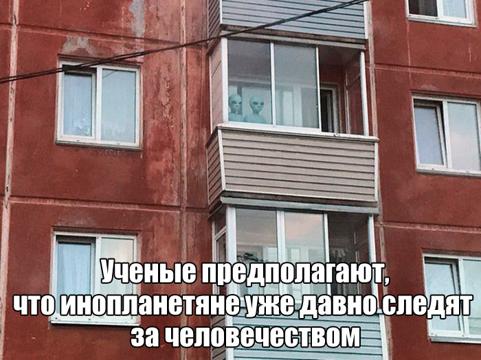 Подборка прикольных фото №1635 (99 фото)