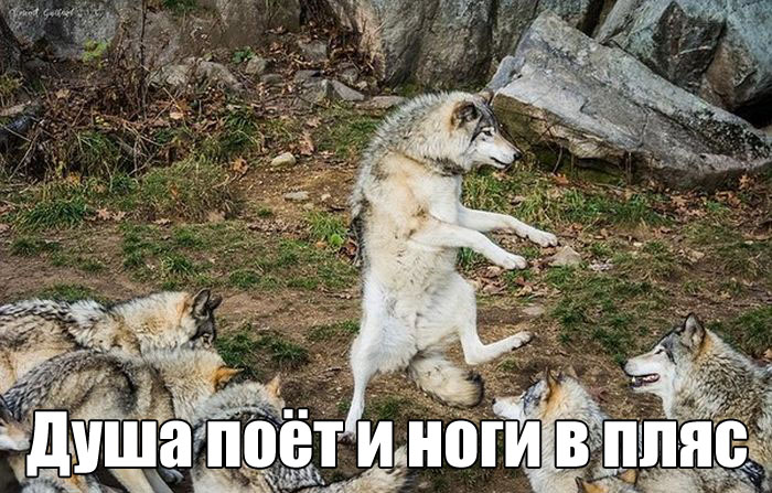 Подборка прикольных фото №1674 (103 фото)