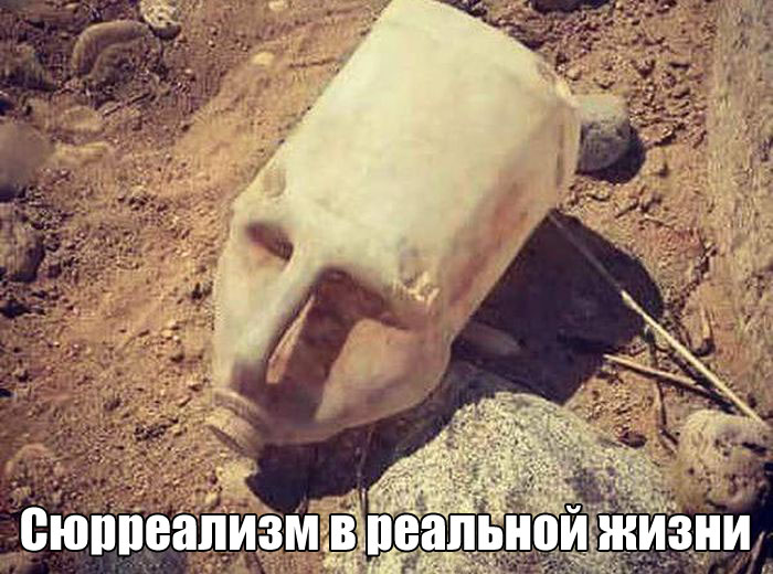 Подборка прикольных фото №1682 (105 фото)