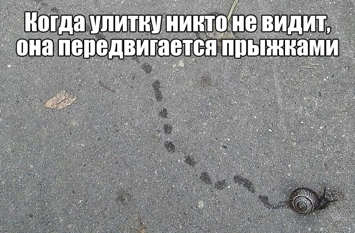 Подборка прикольных фото №1683 (107 фото)