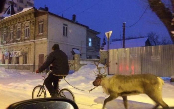 Городские чудаки (32 фото)